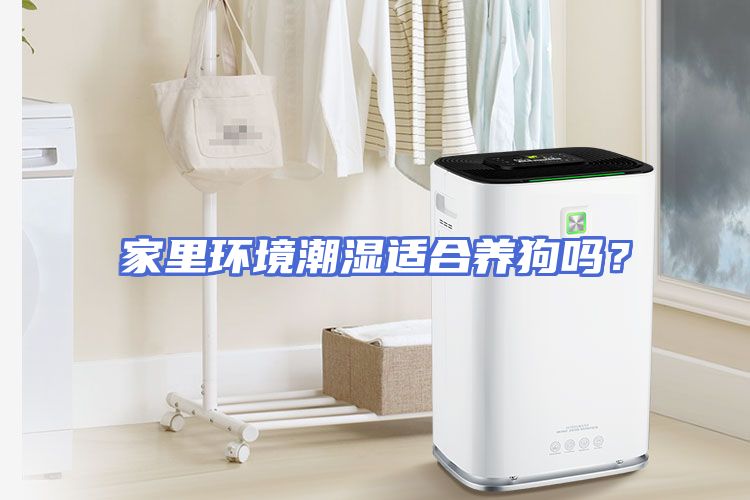 家里环境潮湿适合养狗吗？
