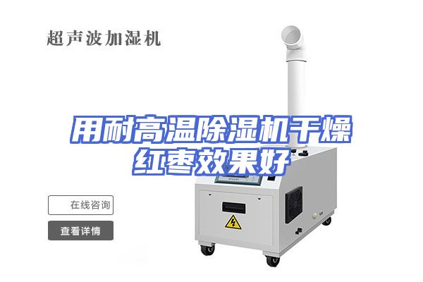 用耐高温除湿机干燥红枣效果好