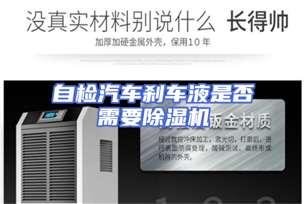 自检汽车刹车液是否需要除湿机
