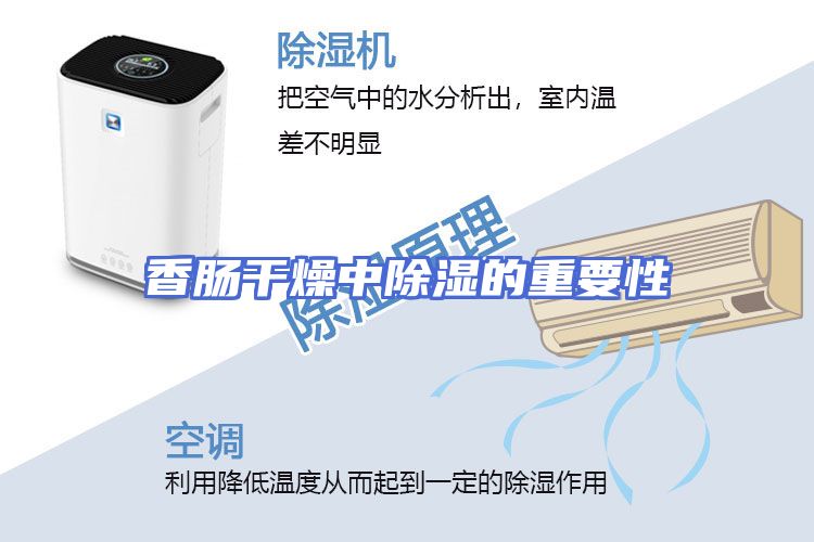 香肠干燥中除湿的重要性