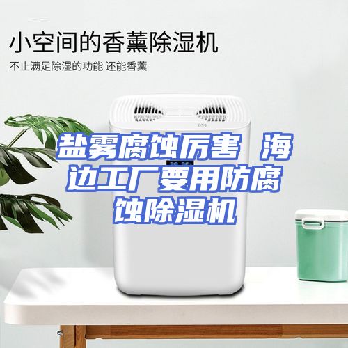 盐雾腐蚀厉害 海边工厂要用防腐蚀除湿机
