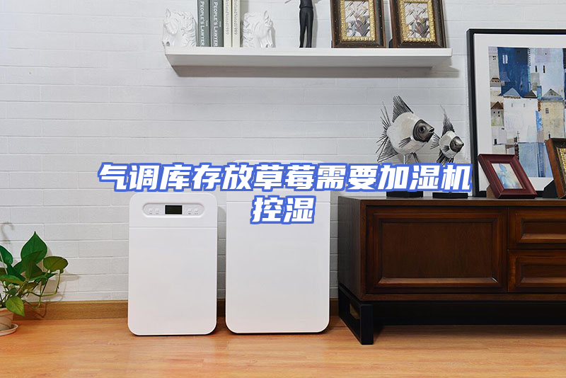 气调库存放草莓需要加湿机控湿