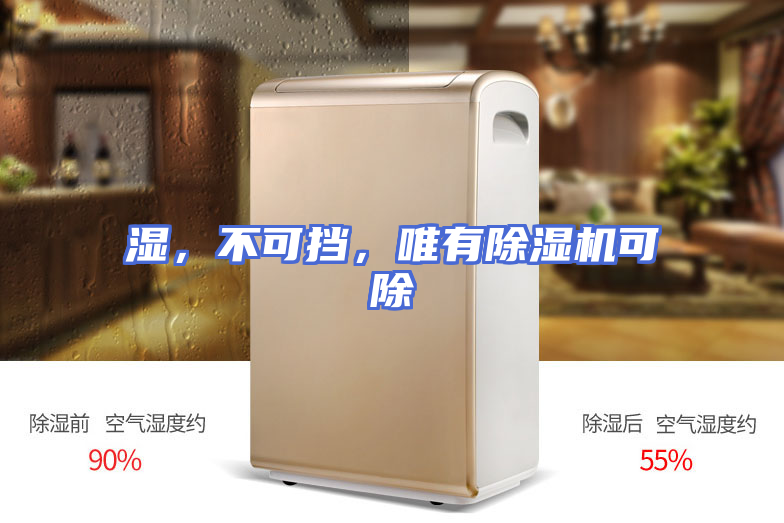 湿，不可挡，唯有除湿机可除