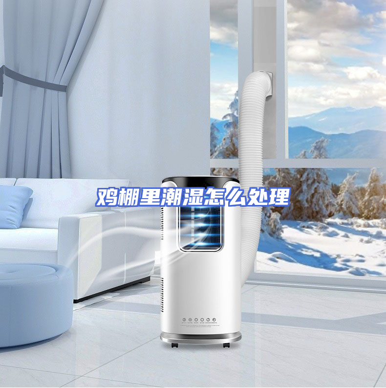 鸡棚里潮湿怎么处理