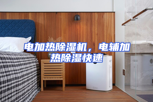电加热除湿机，电辅加热除湿快速