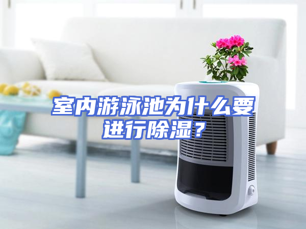 室内游泳池为什么要进行除湿？