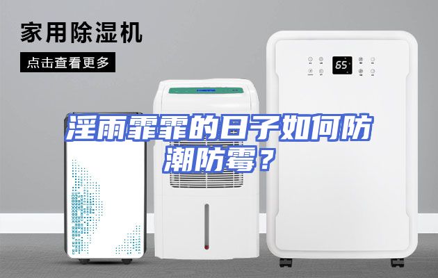 淫雨霏霏的日子如何防潮防霉？