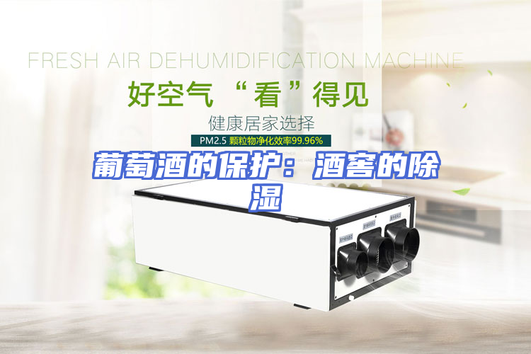 葡萄酒的保护：酒窖的除湿