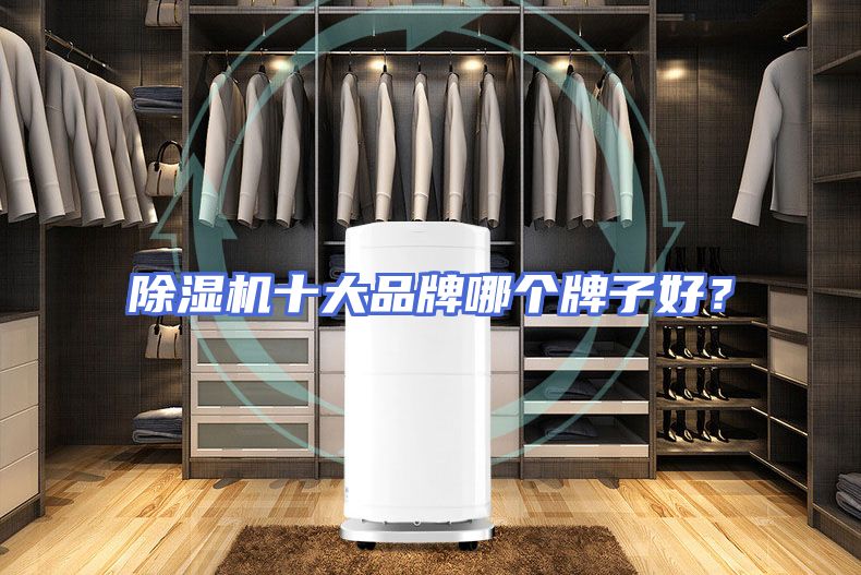 除湿机十大品牌哪个牌子好?
