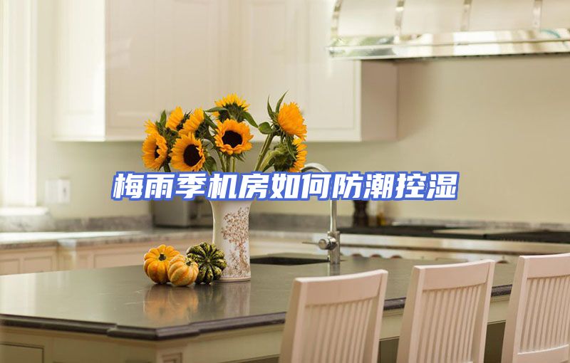 梅雨季机房如何防潮控湿
