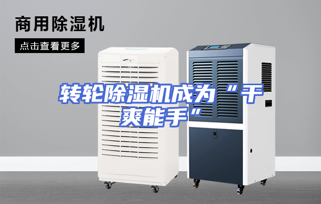 转轮除湿机成为“干爽能手”