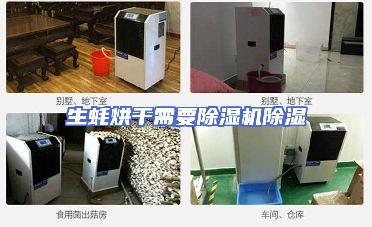 生蚝烘干需要除湿机除湿