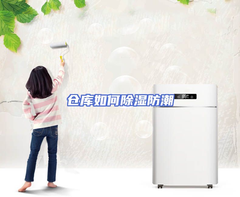 仓库如何除湿防潮