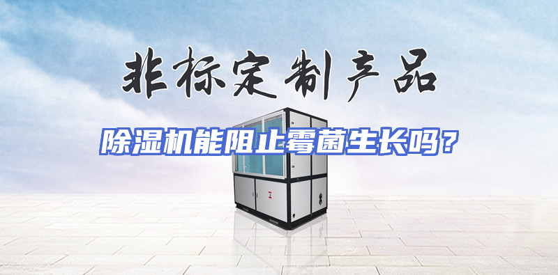 除湿机能阻止霉菌生长吗？