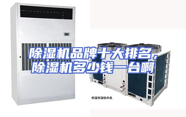 除湿机品牌十大排名，除湿机多少钱一台啊