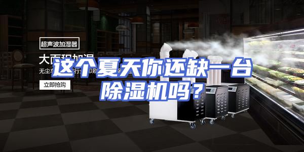 这个夏天你还缺一台除湿机吗？