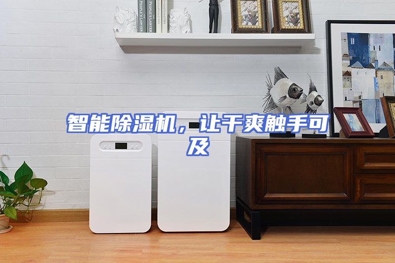 智能除湿机,让干爽触手可及