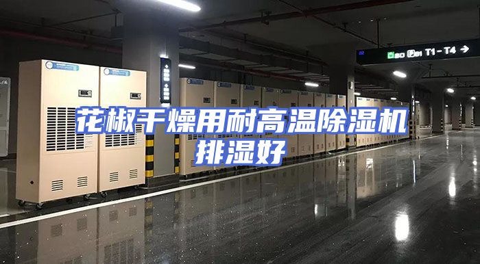 花椒干燥用耐高温除湿机排湿好