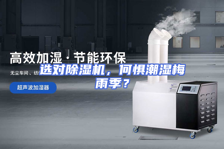 选对除湿机，何惧潮湿梅雨季？