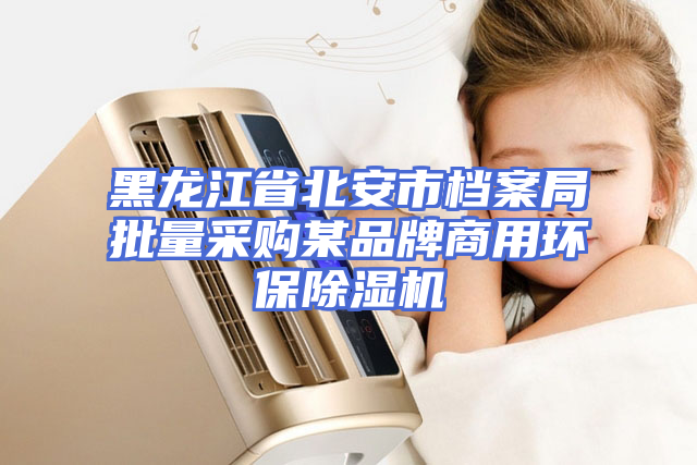 黑龙江省北安市档案局批量采购某品牌商用环保除湿机