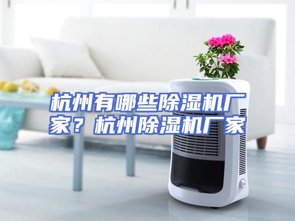杭州有哪些除湿机厂家？杭州除湿机厂家