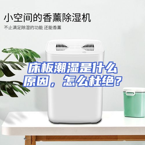 床板潮湿是什么原因，怎么杜绝？