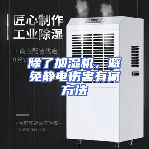 除了加湿机，避免静电伤害有何方法
