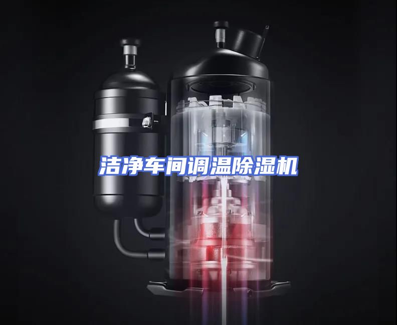 洁净车间调温除湿机