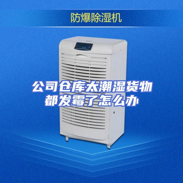 公司仓库太潮湿货物都发霉了怎么办