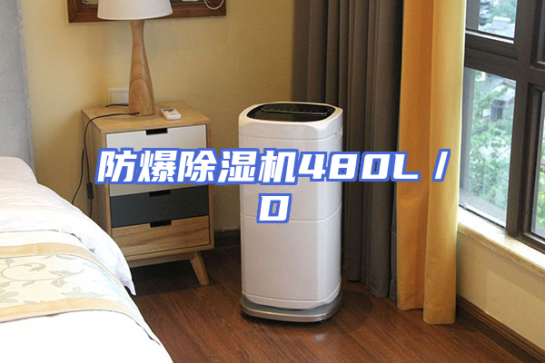 防爆除湿机480L／D