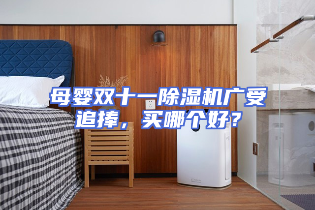 母婴双十一除湿机广受追捧，买哪个好？