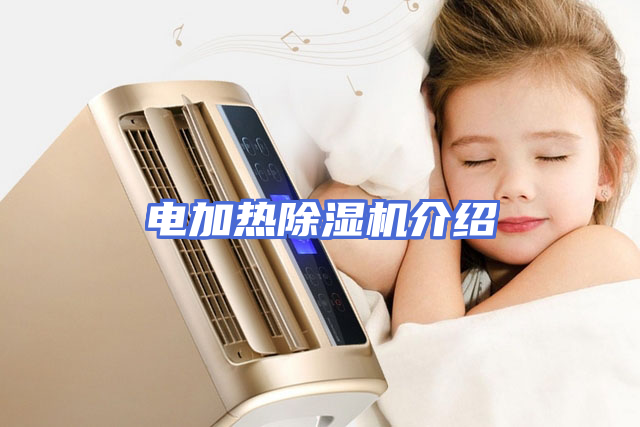 电加热除湿机介绍