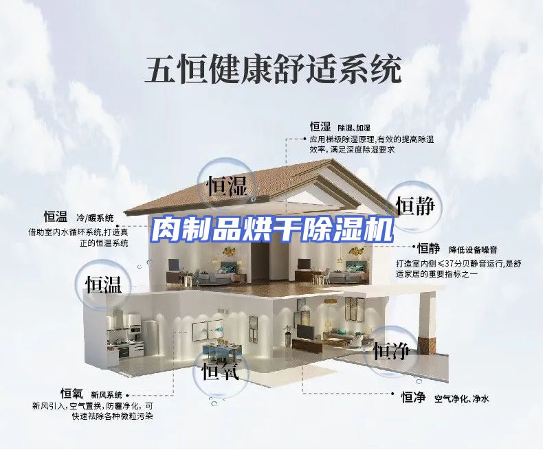 肉制品烘干除湿机