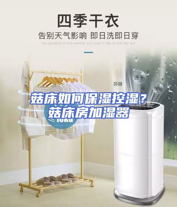 菇床如何保湿控湿？菇床房加湿器