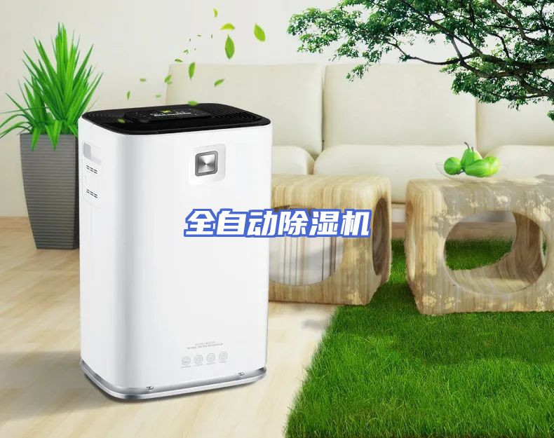 全自动除湿机