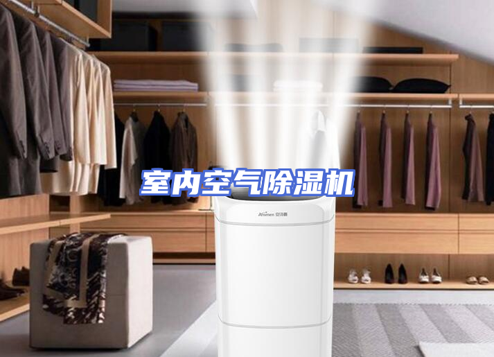 室内空气除湿机