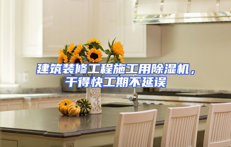 建筑装修工程施工用除湿机，干得快工期不延误