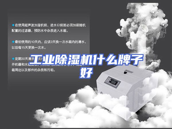 工业除湿机什么牌子好