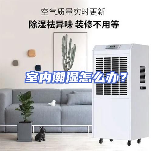 室内潮湿怎么办?