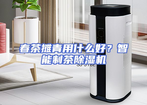 春茶摊青用什么好？智能制茶除湿机