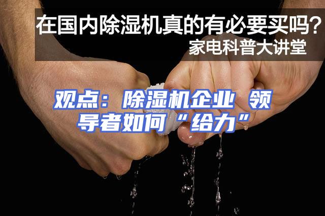 观点：除湿机企业 领导者如何“给力”