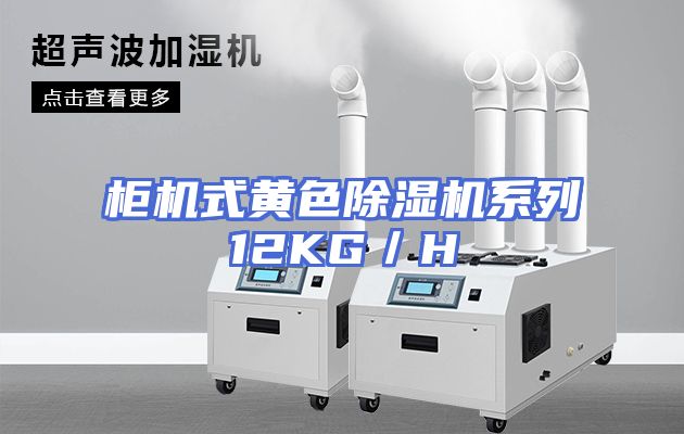 柜机式黄色除湿机系列12KG／H
