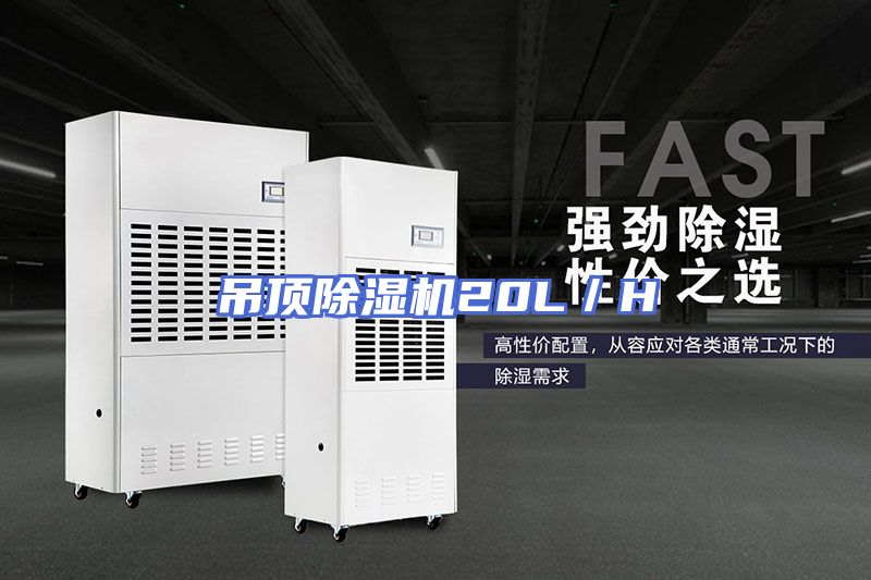 吊顶除湿机20L／H