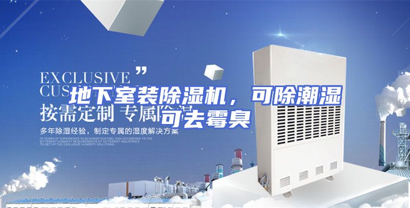 地下室装除湿机，可除潮湿可去霉臭