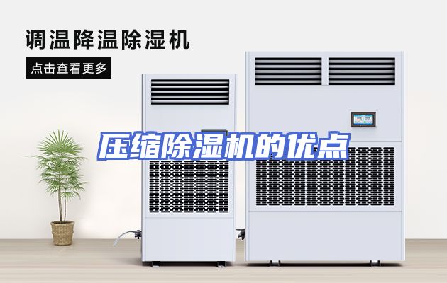 压缩除湿机的优点