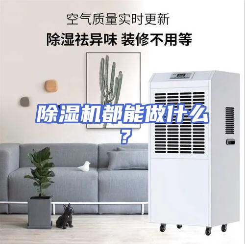 除湿机都能做什么？