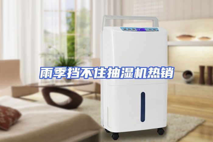 雨季挡不住抽湿机热销