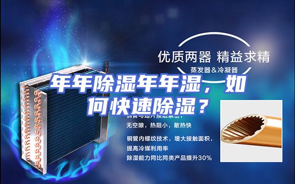 年年除湿年年湿，如何快速除湿？