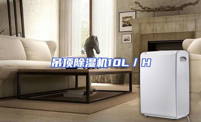 吊顶除湿机10L／H