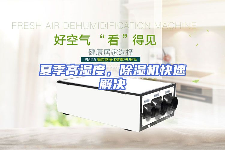 夏季高湿度，除湿机快速解决